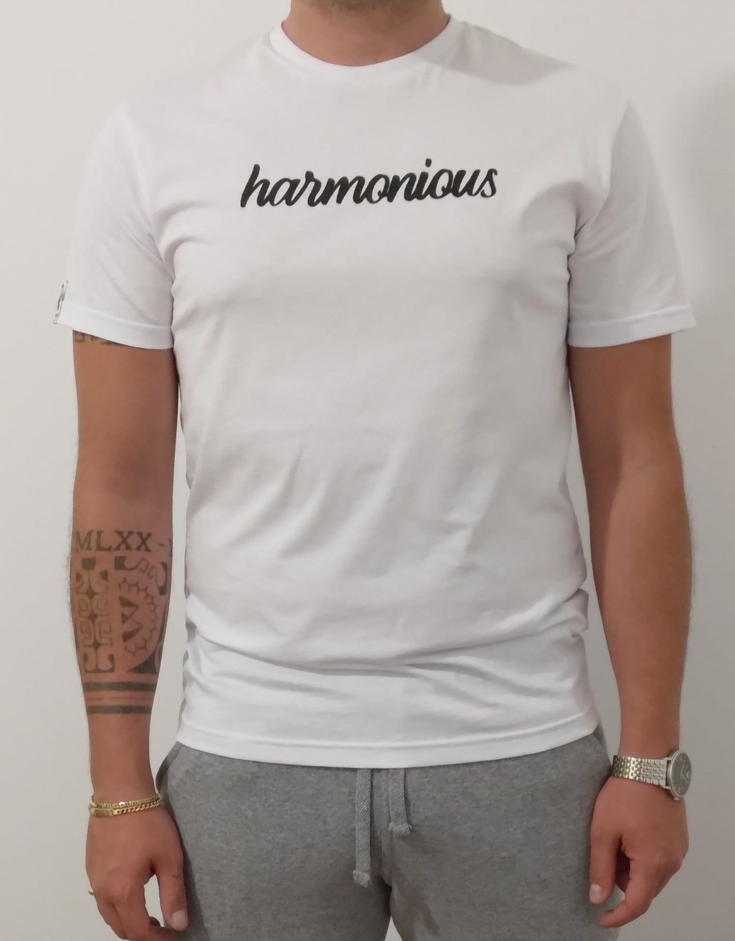 <transcy>Harmonious men's t-shirt 100% Made in Italy</transcy>