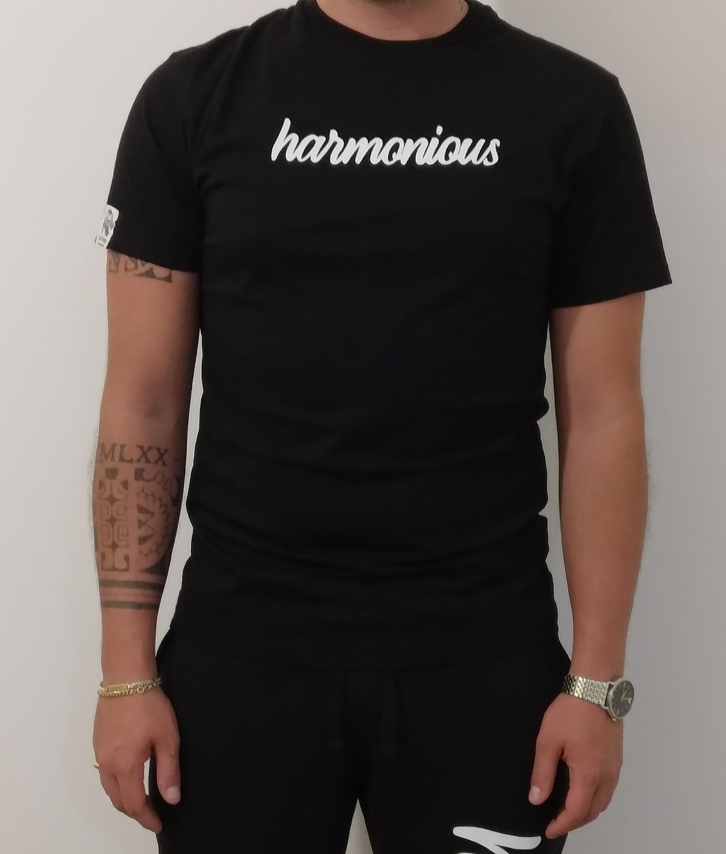 <transcy>Harmonious men's t-shirt 100% Made in Italy</transcy>